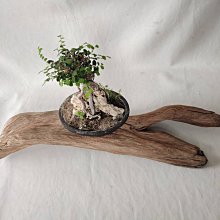 @麗屋瑄品@天然貝殼拼貼墜飾 直徑5公分厚0.3公分/生日禮,情人節 歷史價格詳細信息