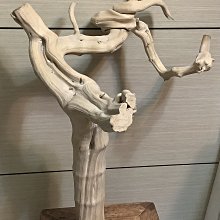 木頭人力嘉力 特爾佳 4代4S 5代 5S 6代  尾部 中板 十字螺絲刀 歷史價格詳細信息