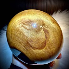 台灣紅樹林自然導遊 TT02 歷史價格詳細信息