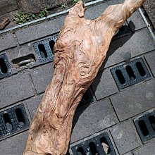 【飾品】獨一無二時尚設計款金色項鍊三串加耳環 舞台秀 可創意變化穿搭 歷史價格詳細信息