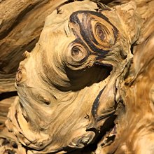 ????促銷價 尾牙禮物推薦????尚朋堂 厚片不鏽鋼烤麵包機SO-939 歷史價格詳細信息