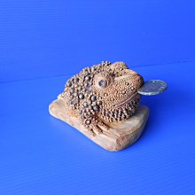 【老師傅】台灣愛文芒果乾180克(夾鏈袋裝) 歷史價格詳細信息