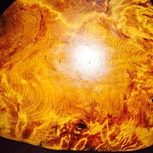 台灣黃檜黑皮料瘤雕 陳萬清大師作品，福袋元寶財神 彌勒佛有落款 閃花非常稀有!珍藏品!台灣黃檜扁柏HINOKI閃花鳳尾瘤 歷史價格詳細信息