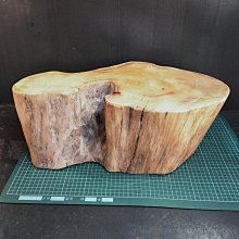 台灣 根華 明日之星籃球王(波力/汪汪隊立大功)【安琪兒婦嬰百貨】 歷史價格詳細信息