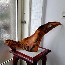 早期黃檜硬骨鳳尾珠榴（降價換現） 歷史價格詳細信息