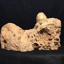 台灣黃檜黑皮料瘤雕 陳萬清大師作品，福袋元寶財神 彌勒佛有落款 閃花非常稀有!珍藏品!台灣黃檜扁柏HINOKI閃花鳳尾瘤 歷史價格詳細信息