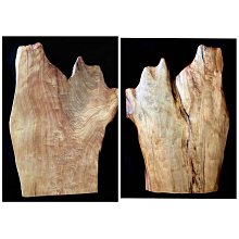 獨一無二! ※台北快貨※沃克斯手作 Wworks for Apple Magic Mouse (1.2代)彩色軟質保護套 歷史價格詳細信息