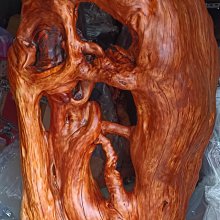 樹上有個桃帆布鞋女2023春季新款星星厚底小白鞋百搭運動休閒板鞋 歷史價格詳細信息