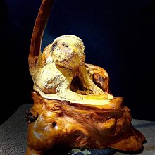 賴老師炭唯觀止-竹炭除臭去味膠212gx2 歷史價格詳細信息