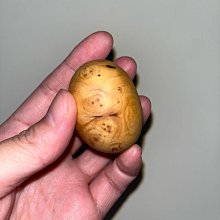 182【ABC科學城】200ml 分裝瓶 HDPE 白色避光 酒精分裝保存 大口瓶 廣口瓶 塑膠瓶 保養品容器 純露分裝 歷史價格詳細信息