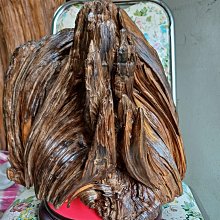 台灣黃檜黑皮料瘤雕 陳萬清大師作品，福袋元寶財神 彌勒佛有落款 閃花非常稀有!珍藏品!台灣黃檜扁柏HINOKI閃花鳳尾瘤 歷史價格詳細信息