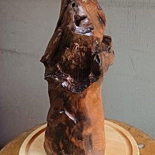 台灣扁柏黃檜木重油味香和巨人弓背蟻（一隻獨秀）,有玻璃罩和燈 歷史價格詳細信息