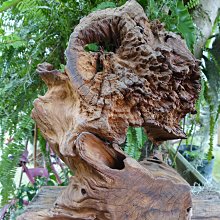 『長輩收藏』搬家忍痛賠售~紅花芙蓉 鏤空雕  ( 名家: 黃昌金) 歷史價格詳細信息