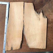 台灣創作者 《小鹿工作室 紙膠帶 印章》｜明進文房具 歷史價格詳細信息