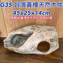 天然沉木造景 枯木拍照道具樹枝木頭裝飾ins靜物攝影陳列擺件乾花 歷史價格詳細信息