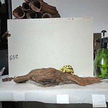 沉木紫柚木爆裂紋鏤空天然一體多枝飄枝水族魚缸水草缸 歷史價格詳細信息