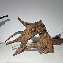 魚缸造景沉木珊瑚木小號水族箱裝飾爬寵曬擺件免煮杜鵑根紫柚木 歷史價格詳細信息