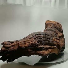 紫砂烏龜 歷史價格詳細信息