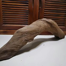 紫砂烏龜 歷史價格詳細信息