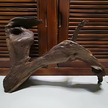 魚缸造景沉木珊瑚木小號水族箱裝飾爬寵曬擺件免煮杜鵑根紫柚木 歷史價格詳細信息