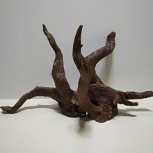 魚缸造景沉木珊瑚木小號水族箱裝飾爬寵曬擺件免煮杜鵑根紫柚木 歷史價格詳細信息