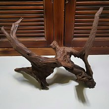 魚缸造景躲避水族用品裝飾 骷髏頭骨擺件模型樹脂創意屋桌面擺件 歷史價格詳細信息