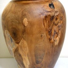 瓶花六講 知名瓶花藝術家徐文治 繼暢銷書《瓶花之美》又一插花力作，聽大家趣談中國插花史，一枝一瓶， 歷史價格詳細信息