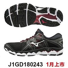 正翰棒壘---MIZUNO 美津濃 WAVE RIDER 22 女用慢跑鞋 J1GD183235 歷史價格詳細信息