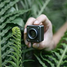 新品上新 吸吹一體 無線手持式大吸力 一鍵倒塵車載 歷史價格詳細信息