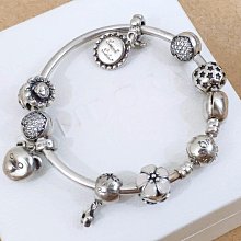 Pandora 潘朵拉 真品手鏈墬飾 女王蜂 招財貓 熱氣球 金荷包  Gondola 各價錢在描述裡 歷史價格詳細信息