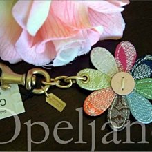 Coach 厚實牛皮 真皮 斜背水桶包 歷史價格詳細信息