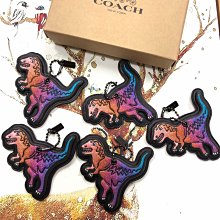 COACH 生肖特別版 蓮羊彩繪龍年限量手錶 CO14504248 歷史價格詳細信息