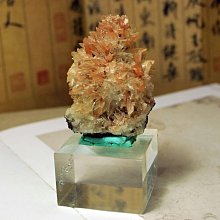 狼牙手鏈本命年男女個性腳鏈紅繩編織狗牙齒真品黑狗牙簡約本命年特艾超夯 精品 歷史價格詳細信息