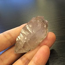 【幸福小胖】巴里島小綿羊黃金咖啡母豆 2包 (225g/半磅/包) 歷史價格詳細信息