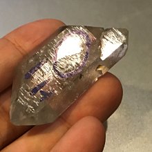 尖端 光在地球之時5.6首刷會場限定 歷史價格詳細信息