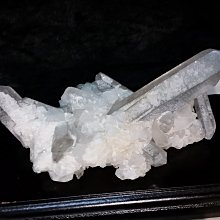 茂林紫斑蝶保護區【得樂紅藜之家】嚴選台灣原鄉好物★☆無籽話梅★☆台灣友善耕作無籽話梅★☆無籽製作，方便食用 歷史價格詳細信息