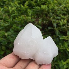 【小川堂】PD-1630 Design 背面裸空機芯 骷顱頭 風格 時尚個性 銀框 銀錶帶 加錶冠45.5 歷史價格詳細信息