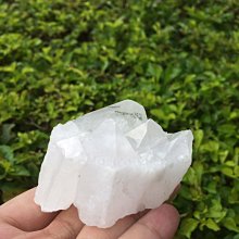 【小川堂】PD-1630 Design 背面裸空機芯 骷顱頭 風格 時尚個性 銀框 銀錶帶 加錶冠45.5 歷史價格詳細信息