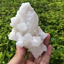 正天然巴西原礦 頂級巴西 正土型 骨幹紫鈦晶洞 薄邊大口納財型 骨幹紫鈦 稀有正土型 頂級紫骨幹鈦晶洞 重量9.3公斤 歷史價格詳細信息