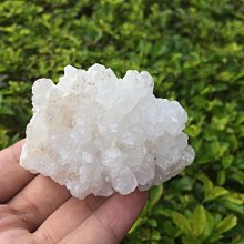 水滴98分貝隨身警報器(ALM-98-M-01) 歷史價格詳細信息