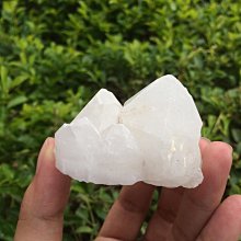 正天然巴西原礦 頂級巴西 正土型 骨幹紫鈦晶洞 薄邊大口納財型 骨幹紫鈦 稀有正土型 頂級紫骨幹鈦晶洞 重量9.3公斤 歷史價格詳細信息