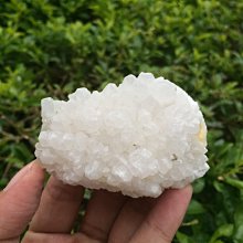 正天然巴西原礦 頂級巴西 正土型 骨幹紫鈦晶洞 薄邊大口納財型 骨幹紫鈦 稀有正土型 頂級紫骨幹鈦晶洞 重量9.3公斤 歷史價格詳細信息