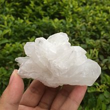 正天然巴西原礦 頂級巴西 正土型 骨幹紫鈦晶洞 薄邊大口納財型 骨幹紫鈦 稀有正土型 頂級紫骨幹鈦晶洞 重量9.3公斤 歷史價格詳細信息