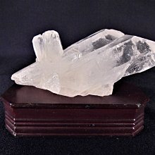 莫妮卡 降敏訓練 旋轉口交 電動飛機杯|男性自慰器 龜頭訓練器 歷史價格詳細信息
