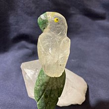 鸚鵡天使放飛繩+2M牽引繩 鳥胸背帶 鸚鵡飛行背帶繩 超輕放飛牽引繩 遛鳥放飛繩 虎皮牡丹玄鳳小太陽和尚月輪金太陽 典贊 歷史價格詳細信息