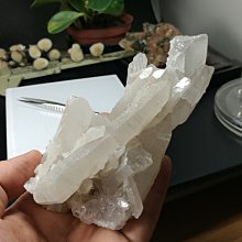 319【晶玉石】珍藏天然和闐玉和闐白玉精雕（漩渦平安釦）項鍊墜子~籽料水料~290一元起標 歷史價格詳細信息