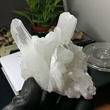 天然原礦淨心硃砂手串女款手錬男佛珠本命年兔年原石飾品禮物 歷史價格詳細信息