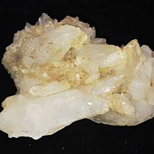 D0082_金屬交叉鯊魚夾抓夾女後腦勺鯊魚夾子頭飾 歷史價格詳細信息