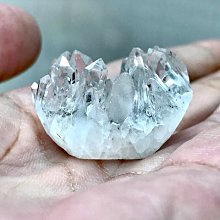 「已售」 烏拉圭 紫晶花 210克 很閃  紫水晶簇 頂輪 風水 把玩 靈修 收藏 編號T1351 歷史價格詳細信息