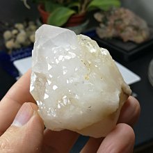 AE254 九十三年93年 甲申猴年生肖套幣 精鑄版 925銀章 重1/2盎斯 盒附說明書~無收據 歷史價格詳細信息